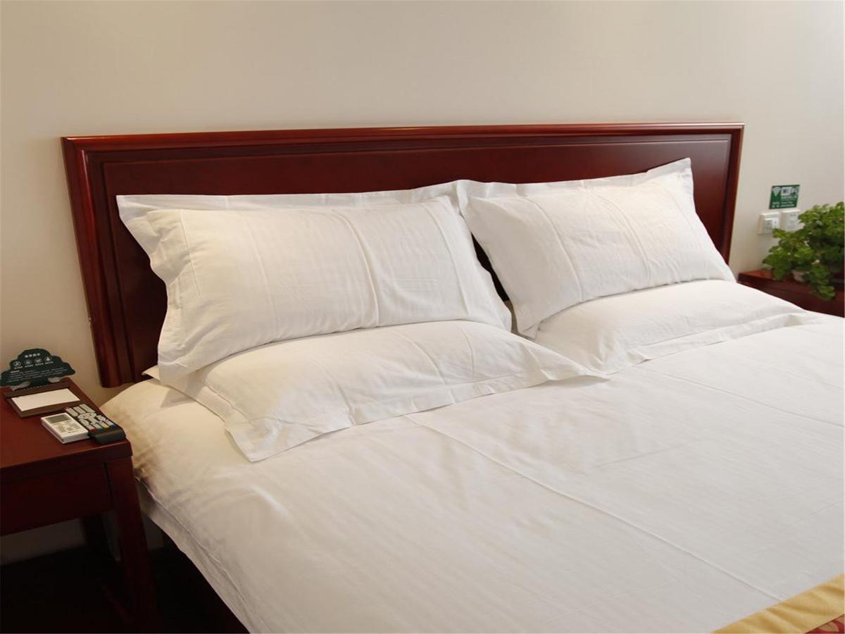 Greentree Inn Tianjin Meijiang Convention And Exhibition Center Express Hotel Extérieur photo